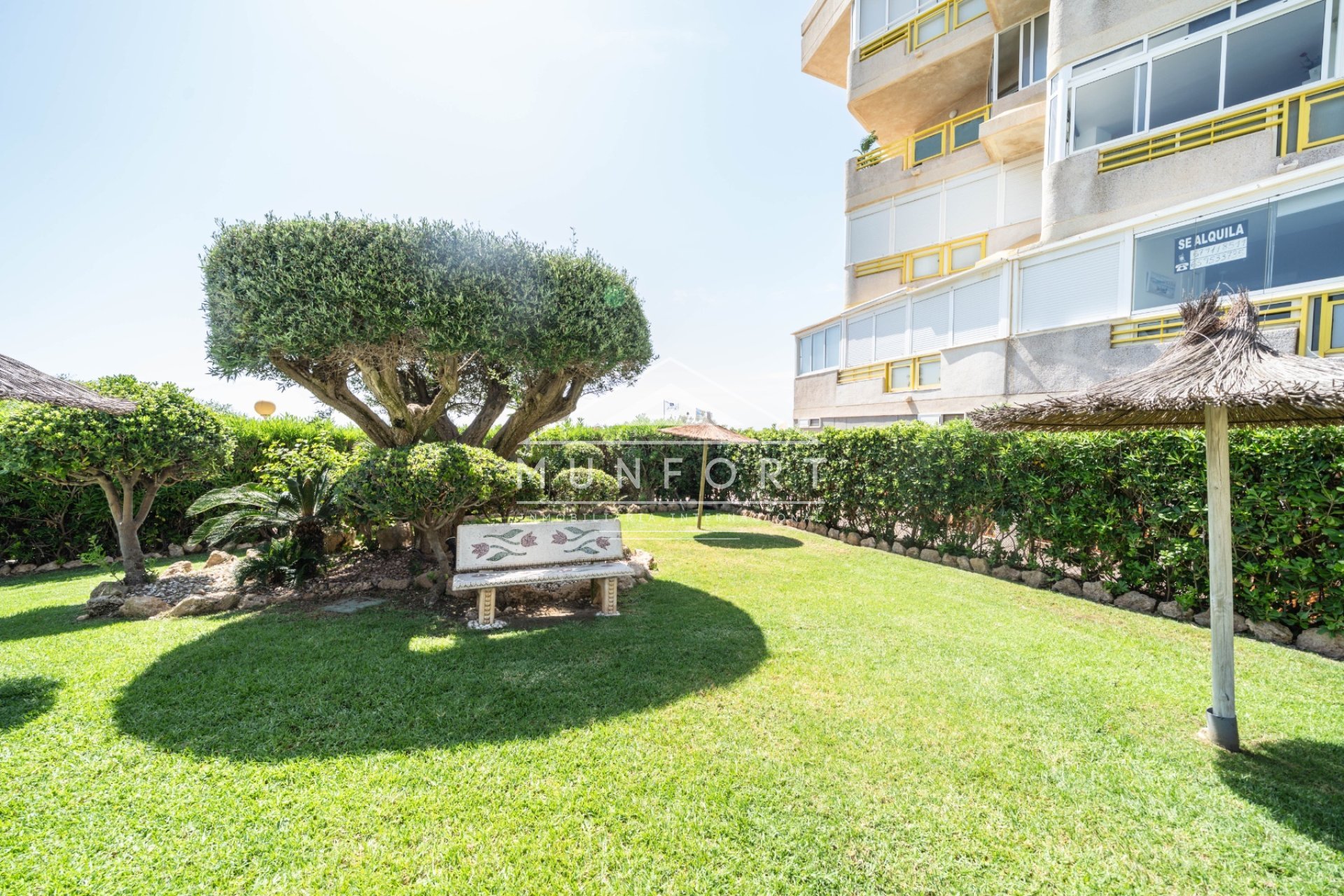 Alquiler a largo plazo - Apartamentos -
Pilar de la Horadada - Mil Palmeras