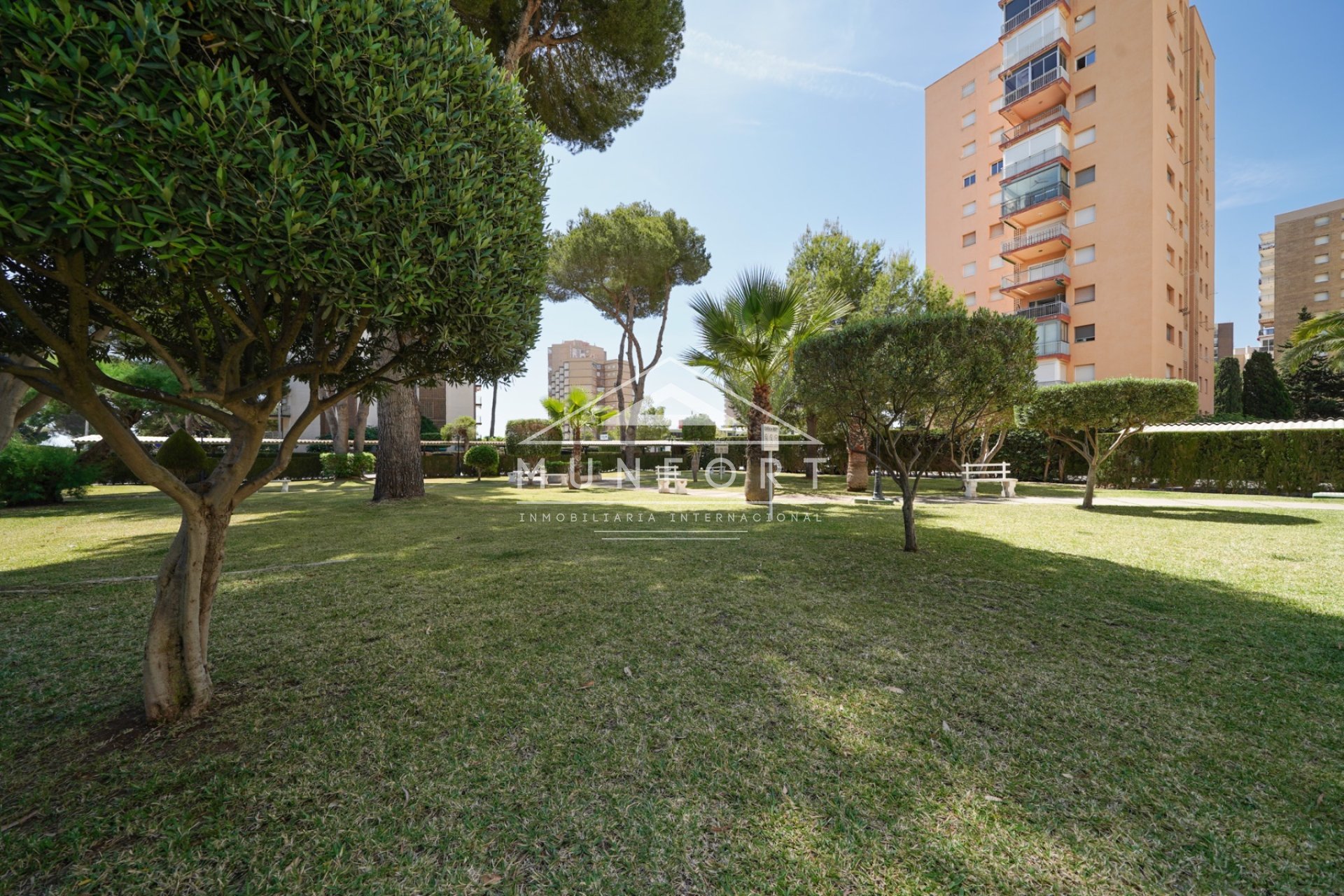 Alquiler a largo plazo - Estudios -
Orihuela Costa - Dehesa de Campoamor