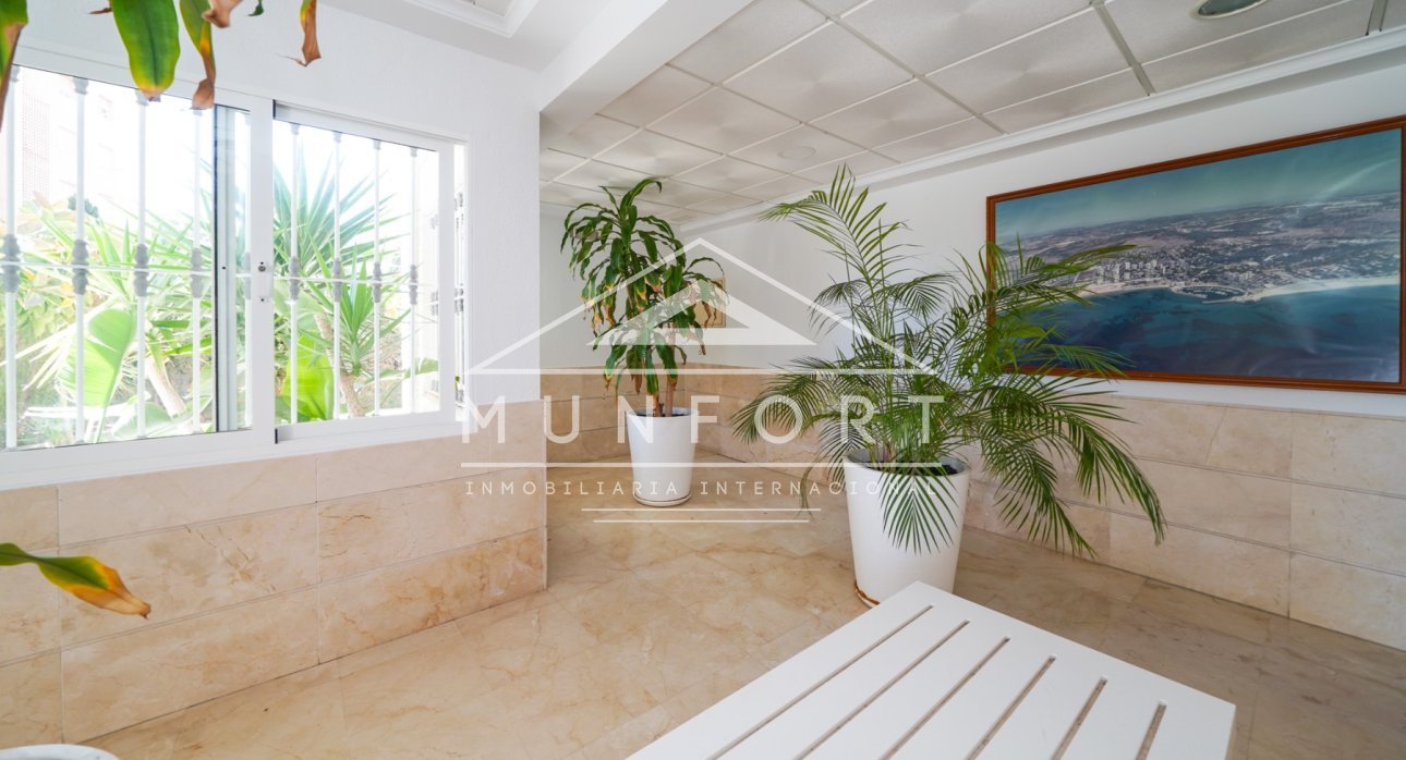 Alquiler a largo plazo - Estudios -
Orihuela Costa - Dehesa de Campoamor