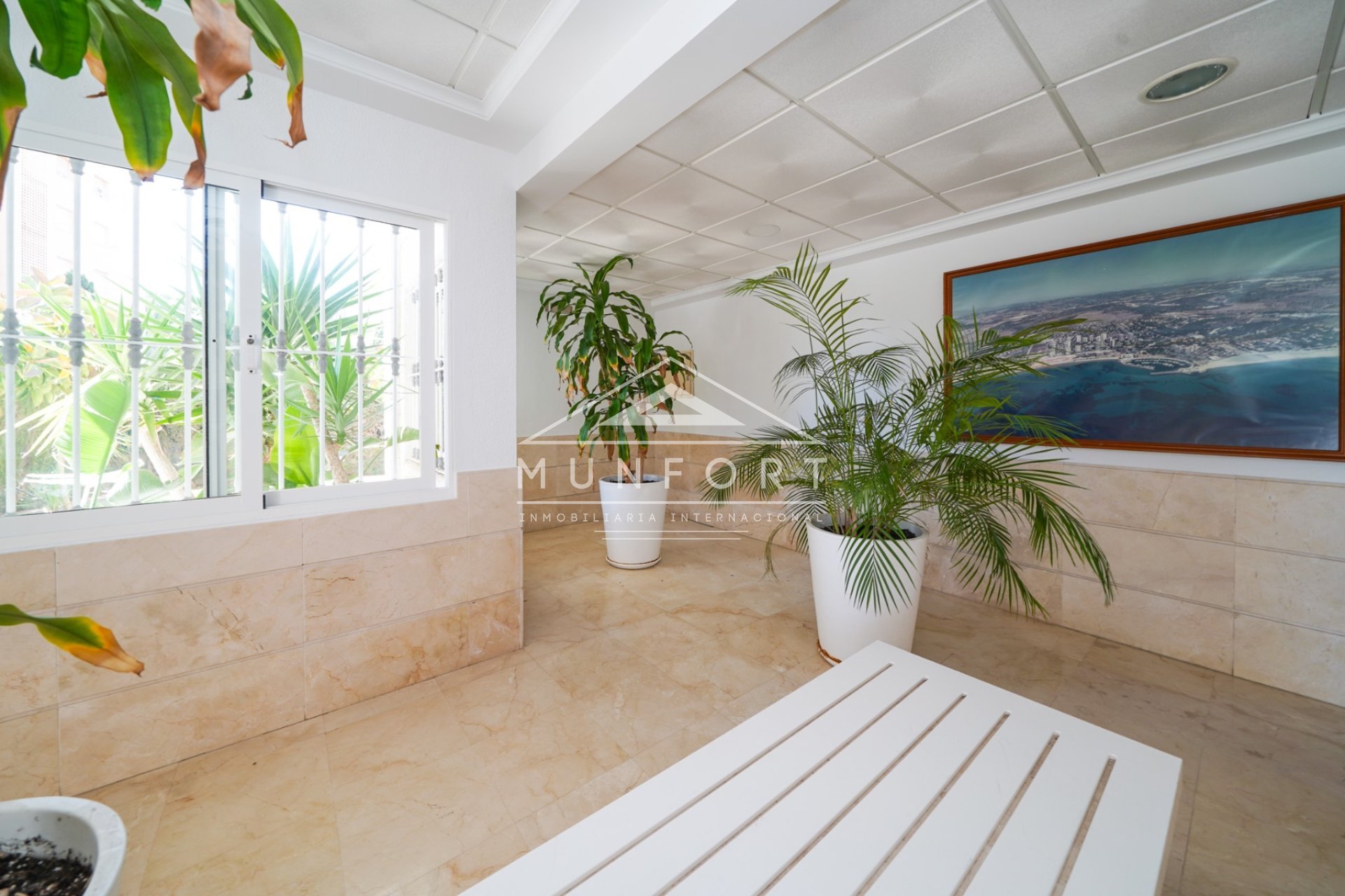 Alquiler a largo plazo - Estudios -
Orihuela Costa - Dehesa de Campoamor