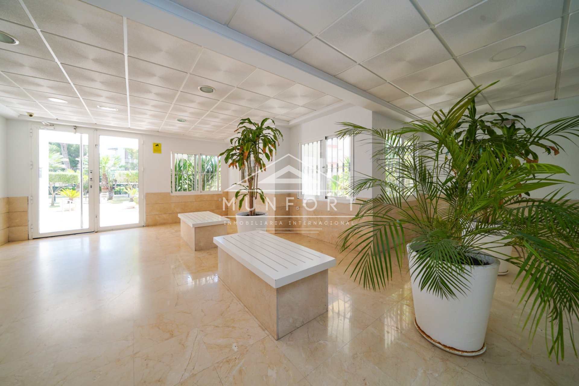 Alquiler a largo plazo - Estudios -
Orihuela Costa - Dehesa de Campoamor