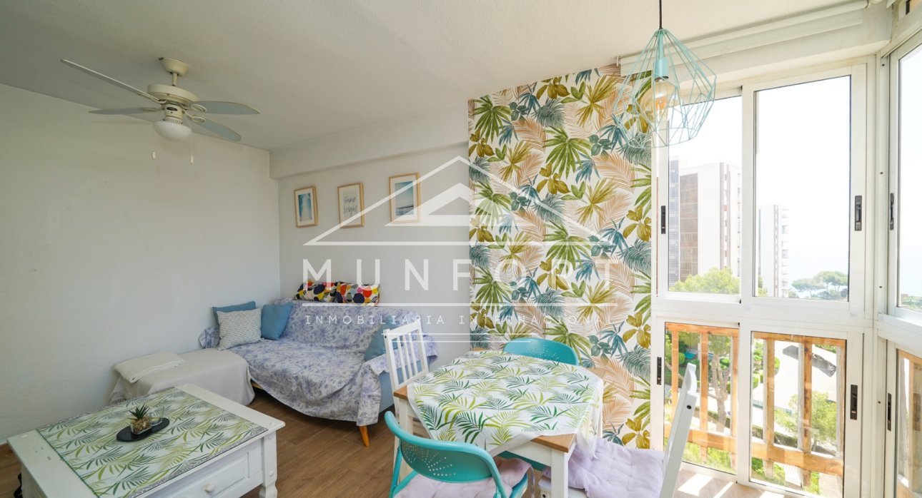 Alquiler a largo plazo - Estudios -
Orihuela Costa - Dehesa de Campoamor