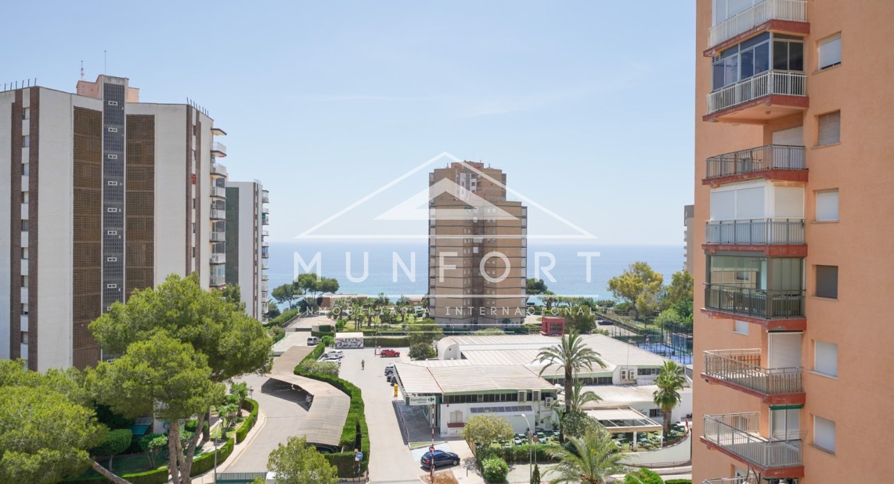 Alquiler a largo plazo - Estudios -
Orihuela Costa - Dehesa de Campoamor