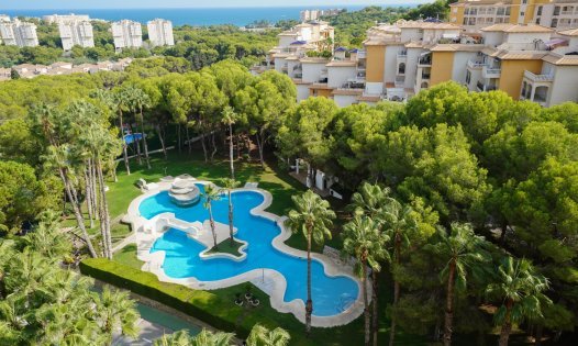 Apartamentos - Alquiler a largo plazo - Orihuela Costa -
                Dehesa de Campoamor