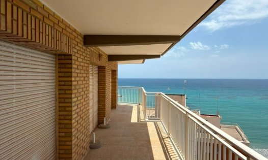 Apartamentos - Segunda mano - Orihuela Costa -
                Dehesa de Campoamor