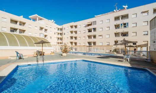 Apartments - Resale - Torrevieja -
                Centro - Torrevieja