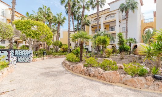 Apartments - Resale - Torrevieja -
                Torrevieja