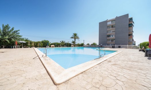 Appartements - Revente - Torrevieja -
                Punta Prima