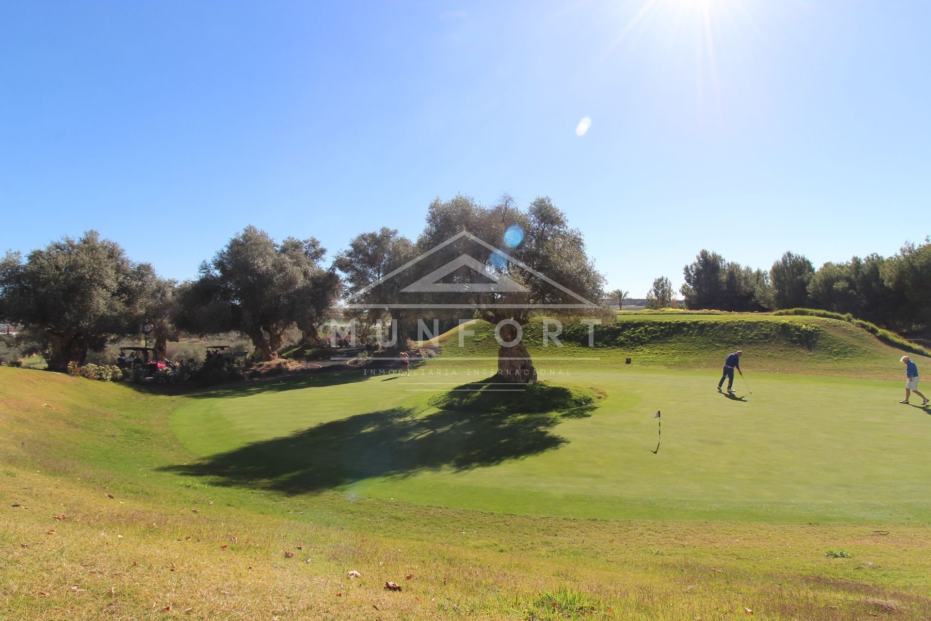 Återförsäljning - Bungalows -
Algorfa - Club de Golf La Finca - Algorfa