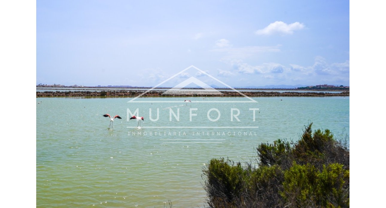 Återförsäljning - Lägenheter -
San Pedro del Pinatar - Lo Pag&aacute;n