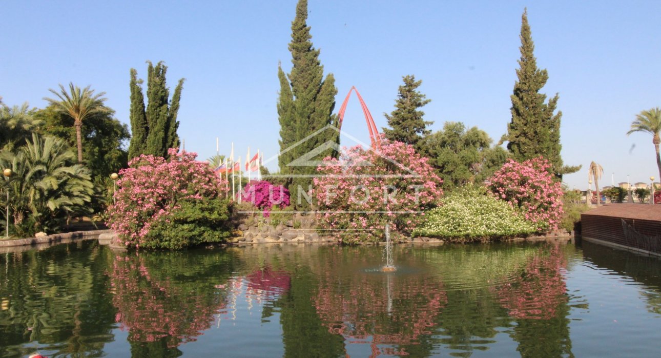 Återförsäljning - Lägenheter -
Torrevieja - Centro - Torrevieja