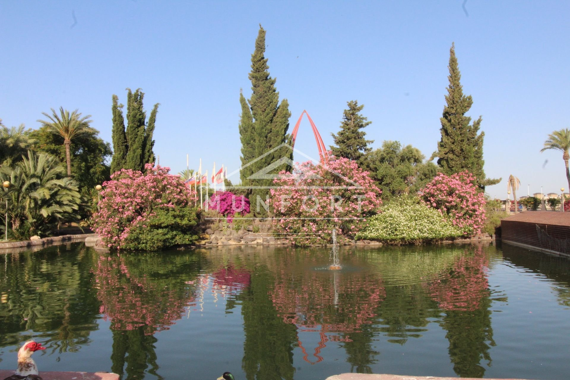 Återförsäljning - Lägenheter -
Torrevieja - Centro - Torrevieja