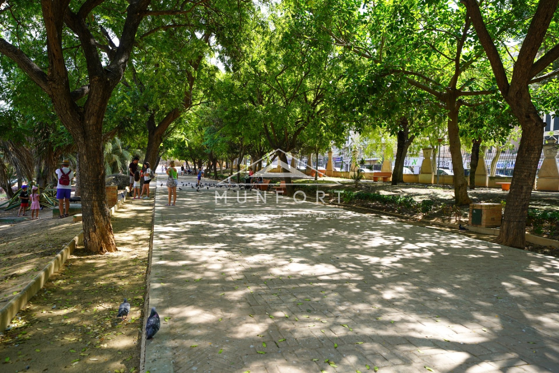 Återförsäljning - Lägenheter -
Torrevieja - Centro - Torrevieja