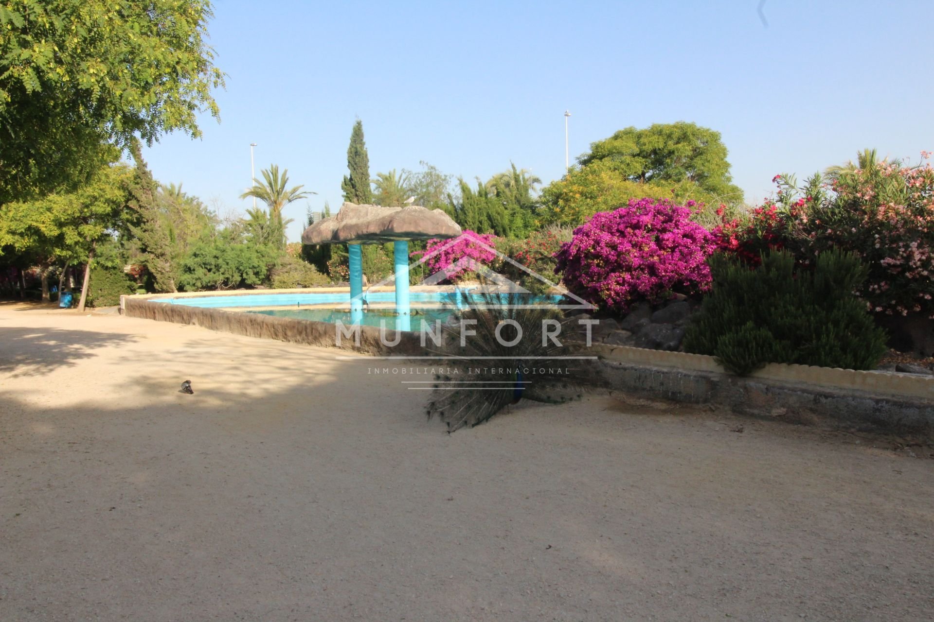 Återförsäljning - Lägenheter -
Torrevieja - Playa de los Locos - Torrevieja