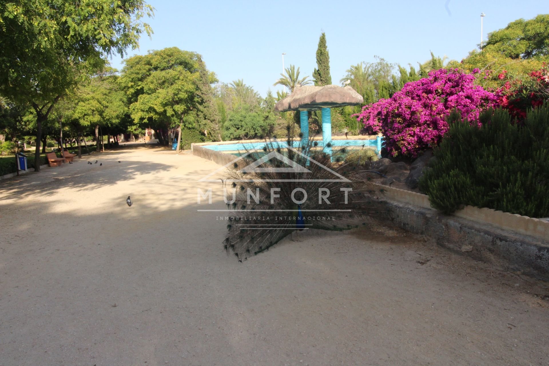 Återförsäljning - Lägenheter -
Torrevieja - Playa de los Locos - Torrevieja