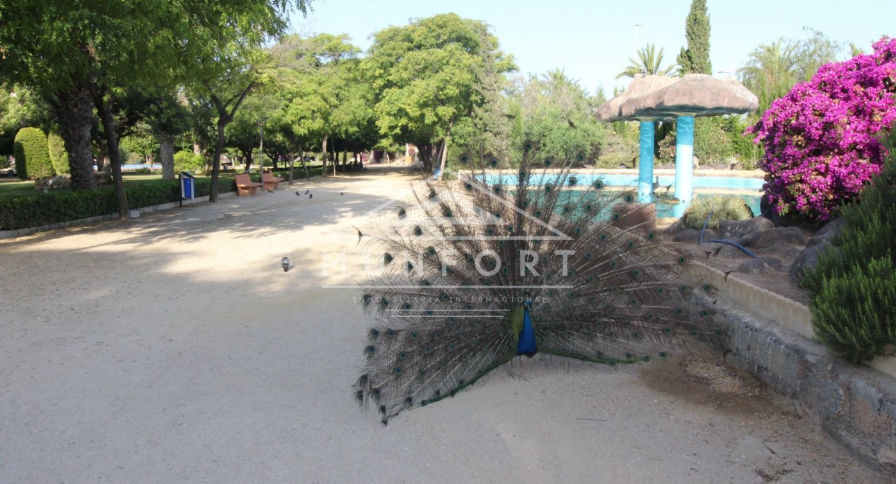 Återförsäljning - Lägenheter -
Torrevieja - Playa de los Locos - Torrevieja