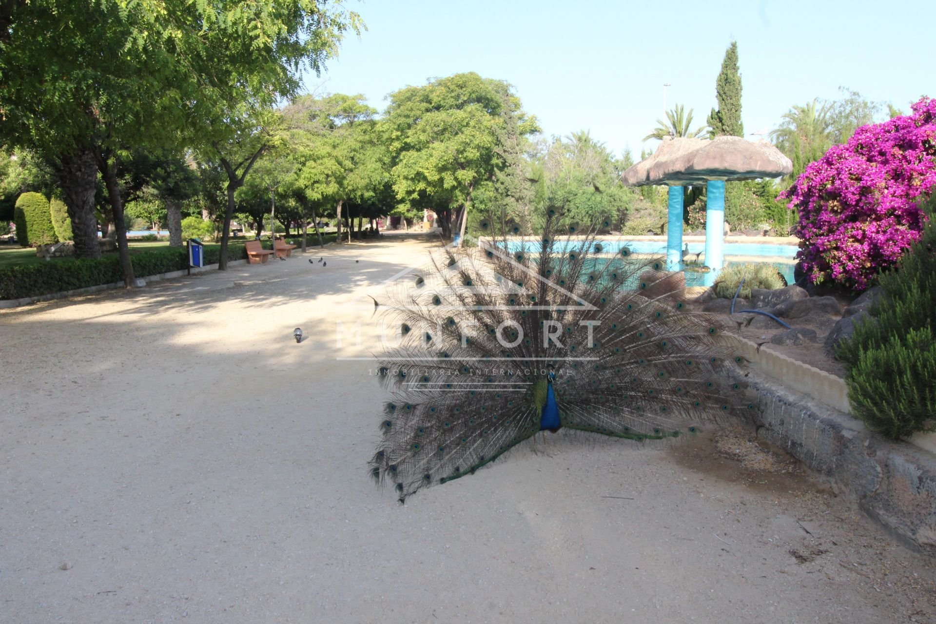 Återförsäljning - Lägenheter -
Torrevieja - Playa de los Locos - Torrevieja