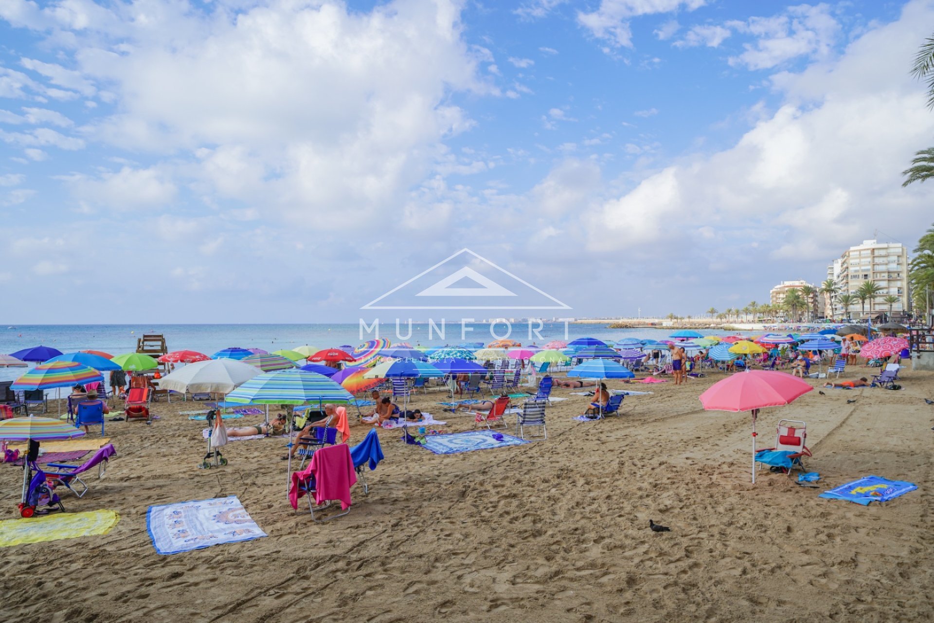 Återförsäljning - Lägenheter -
Torrevieja - Playa del Cura - Torrevieja