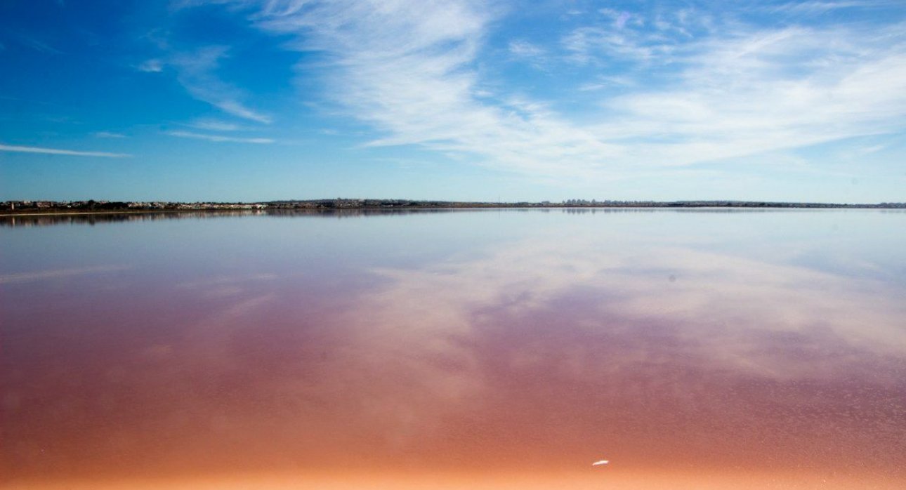 Återförsäljning - Takvåningar -
Torrevieja - La Mata