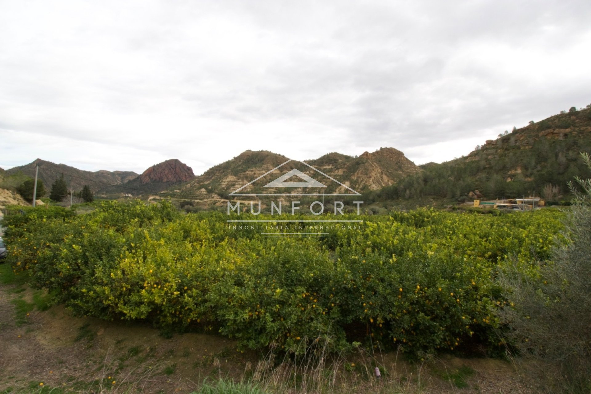 Återförsäljning - Tomter -
Murcia - GEA Y TRUYOLS