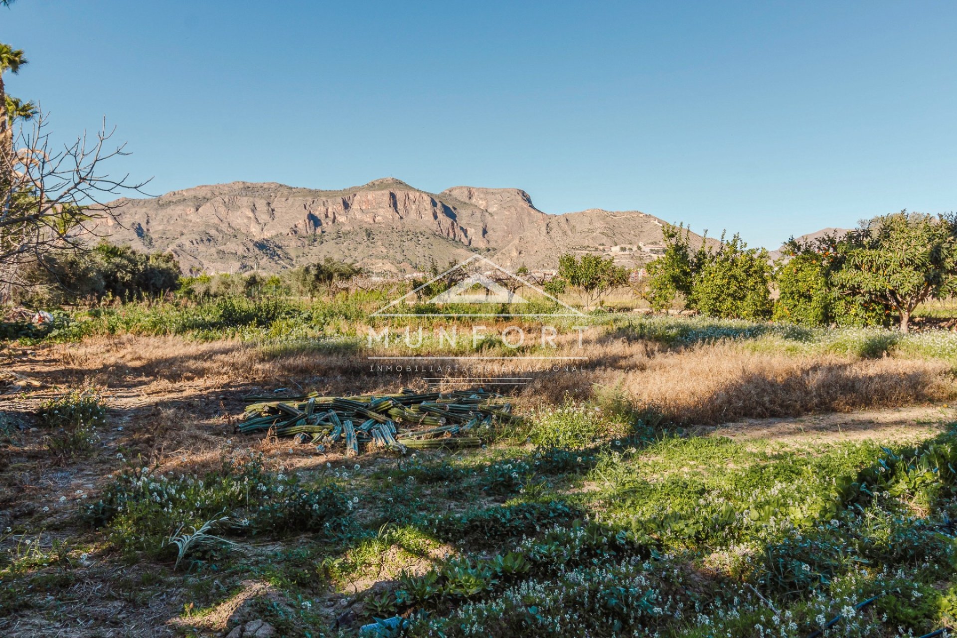 Återförsäljning - Villor -
Orihuela