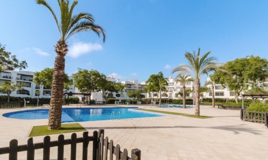 Casas Adosadas - Segunda mano -
            Roldán - DH273