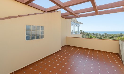 Casas Adosadas - Segunda mano - Torrevieja -
                La Veleta - Torrevieja