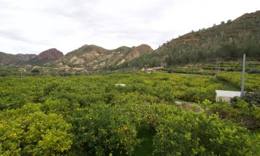 Grundstücke - Wiederverkauf - Murcia -
                GEA Y TRUYOLS