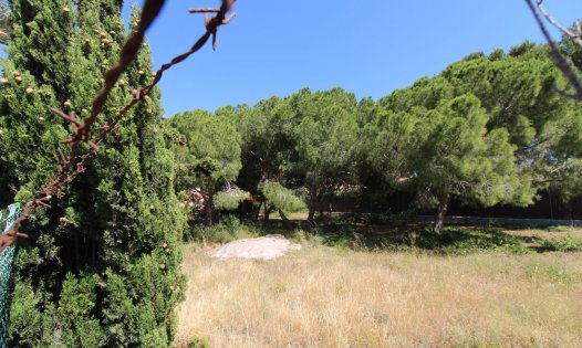 Grundstücke - Wiederverkauf - Orihuela Costa - Cabo Roig