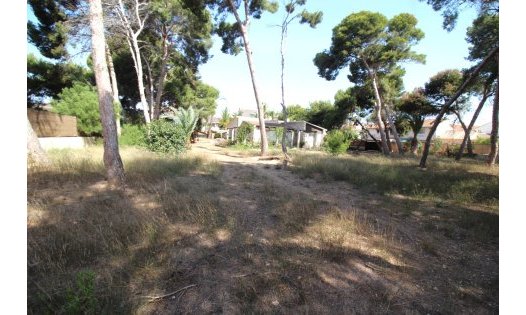 Grundstücke - Wiederverkauf - San Pedro del Pinatar -
                San Pedro del Pinatar