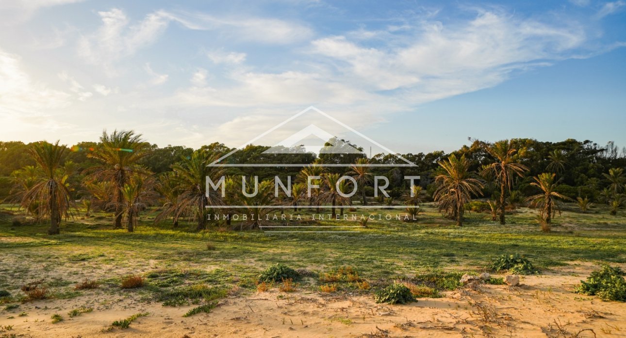 Herverkoop - Appartementen -
Guardamar del Segura - El Raso - Guardamar del Segura