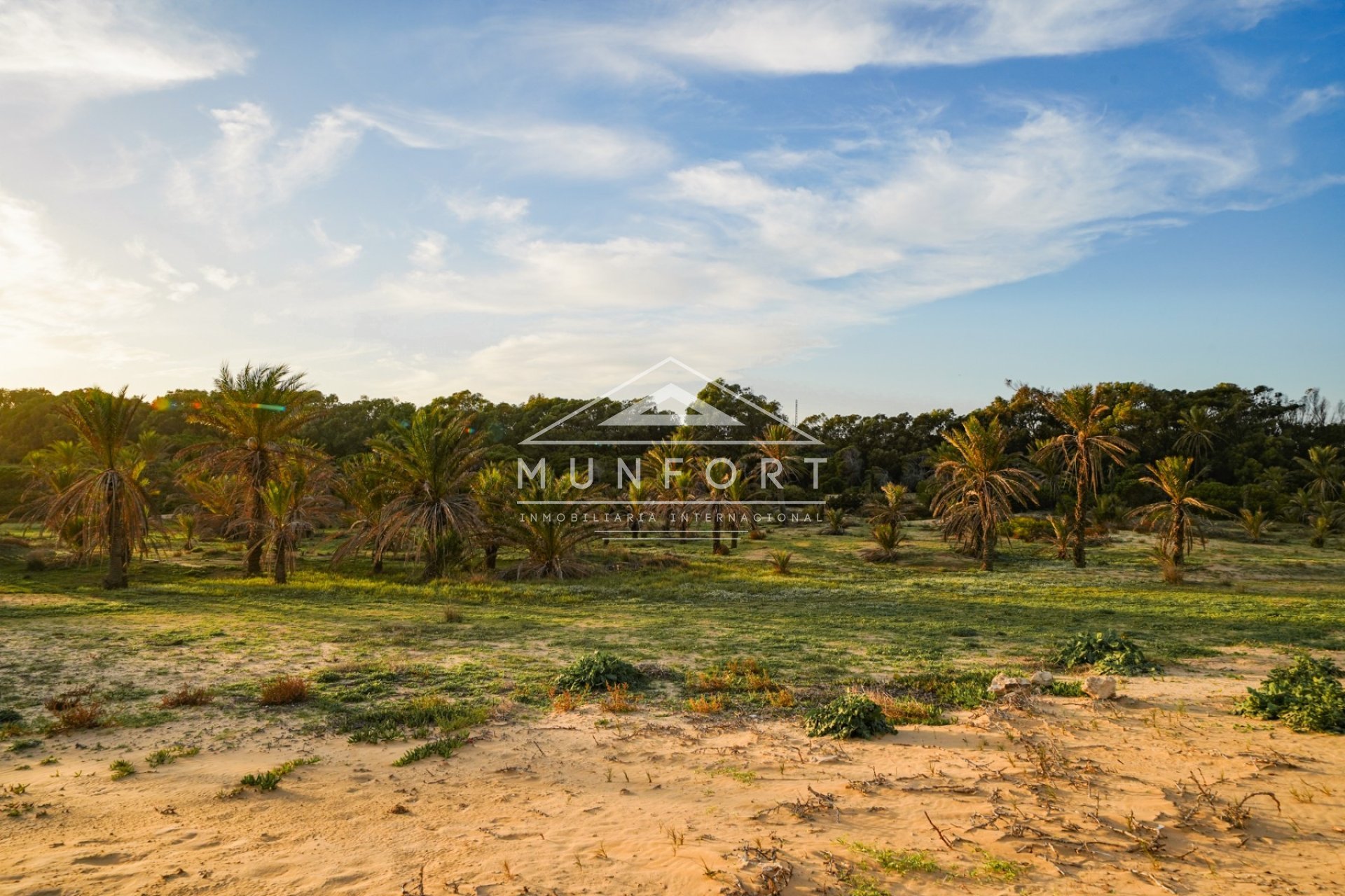 Herverkoop - Appartementen -
Guardamar del Segura - El Raso - Guardamar del Segura