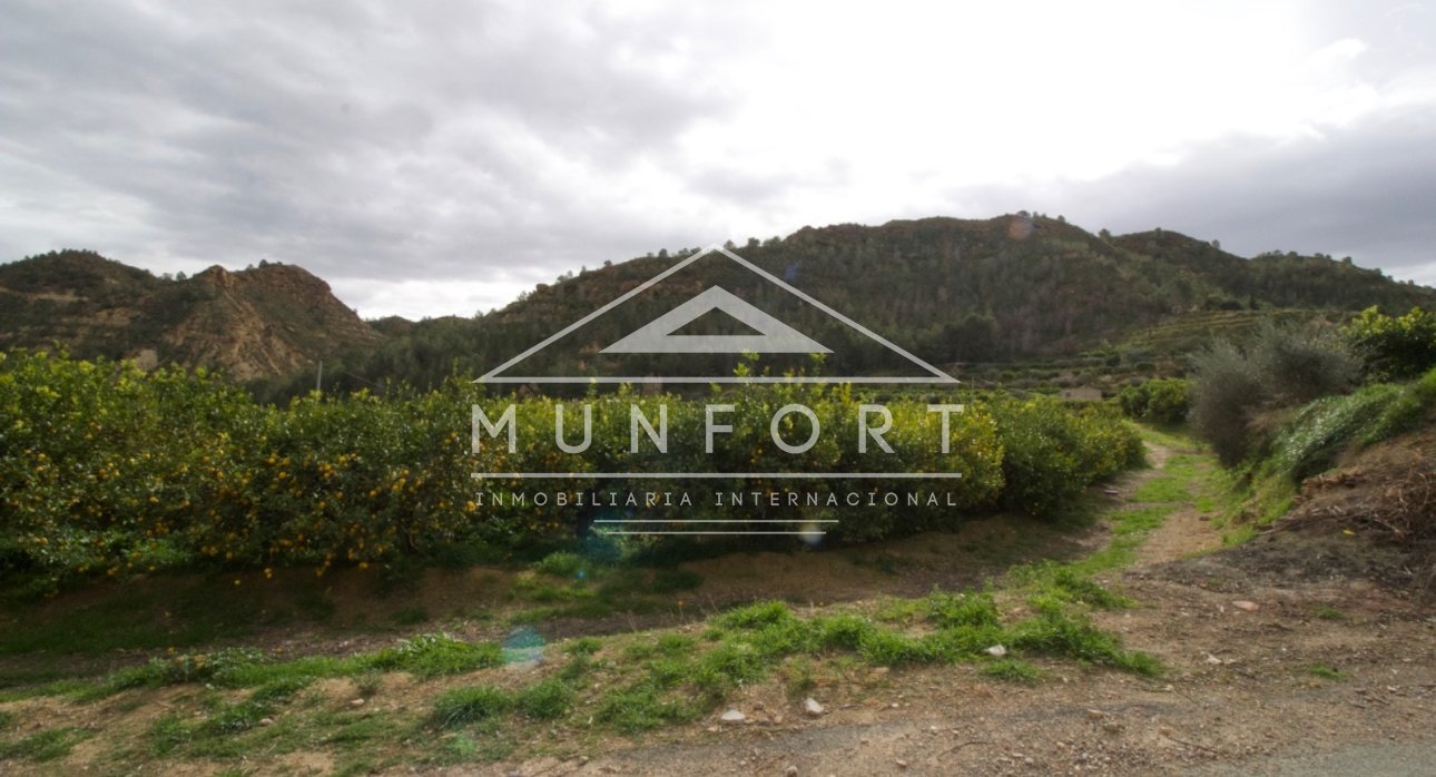 Herverkoop - Percelen -
Murcia - GEA Y TRUYOLS