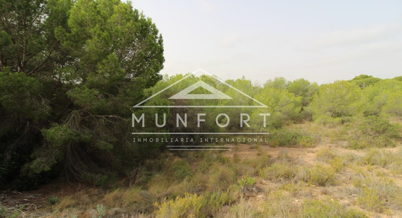 Herverkoop - Percelen -
Pilar de la Horadada - Pinar de Campoverde