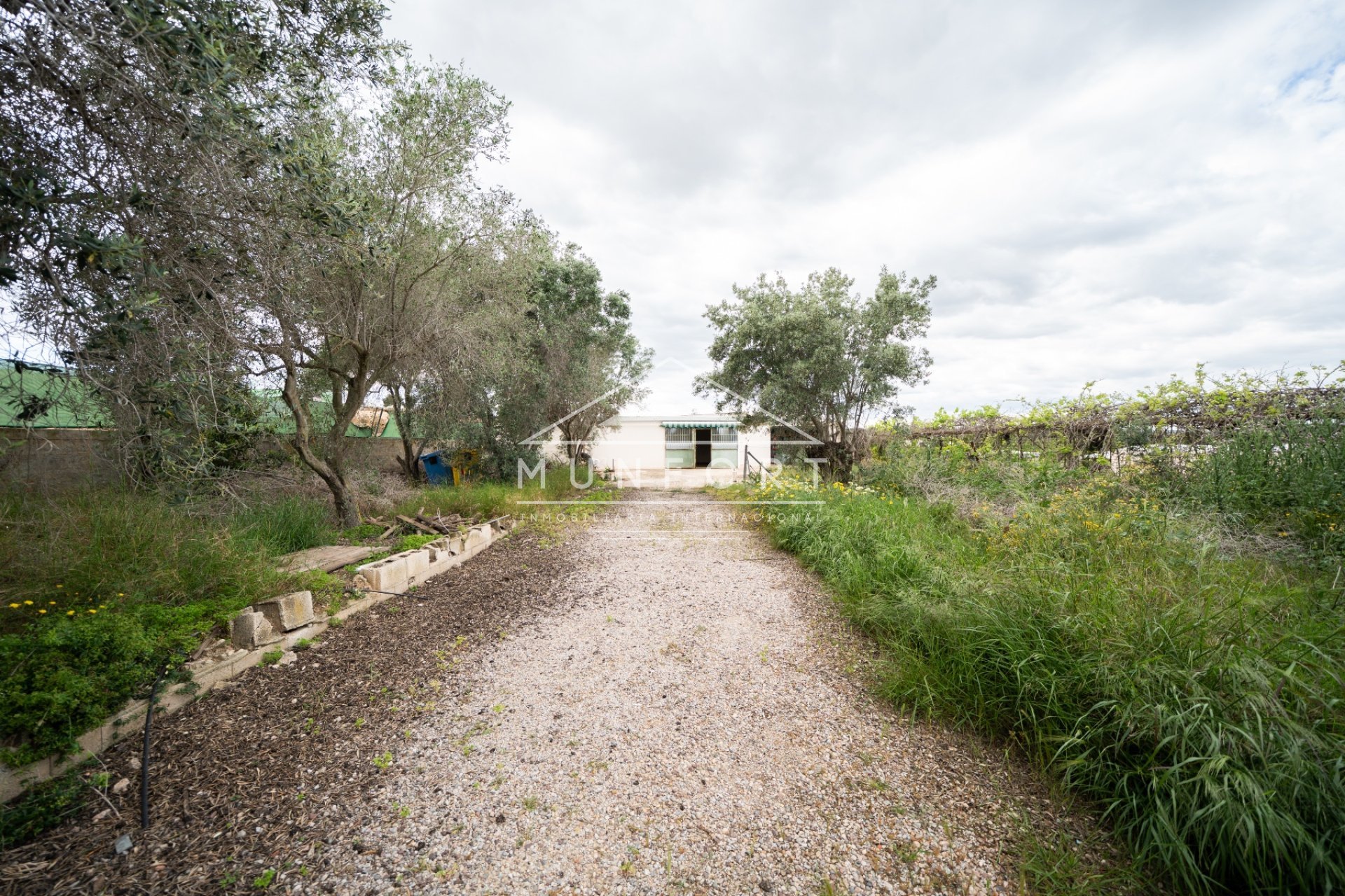 Herverkoop - Percelen -
Pilar de la Horadada - Pinar de Campoverde