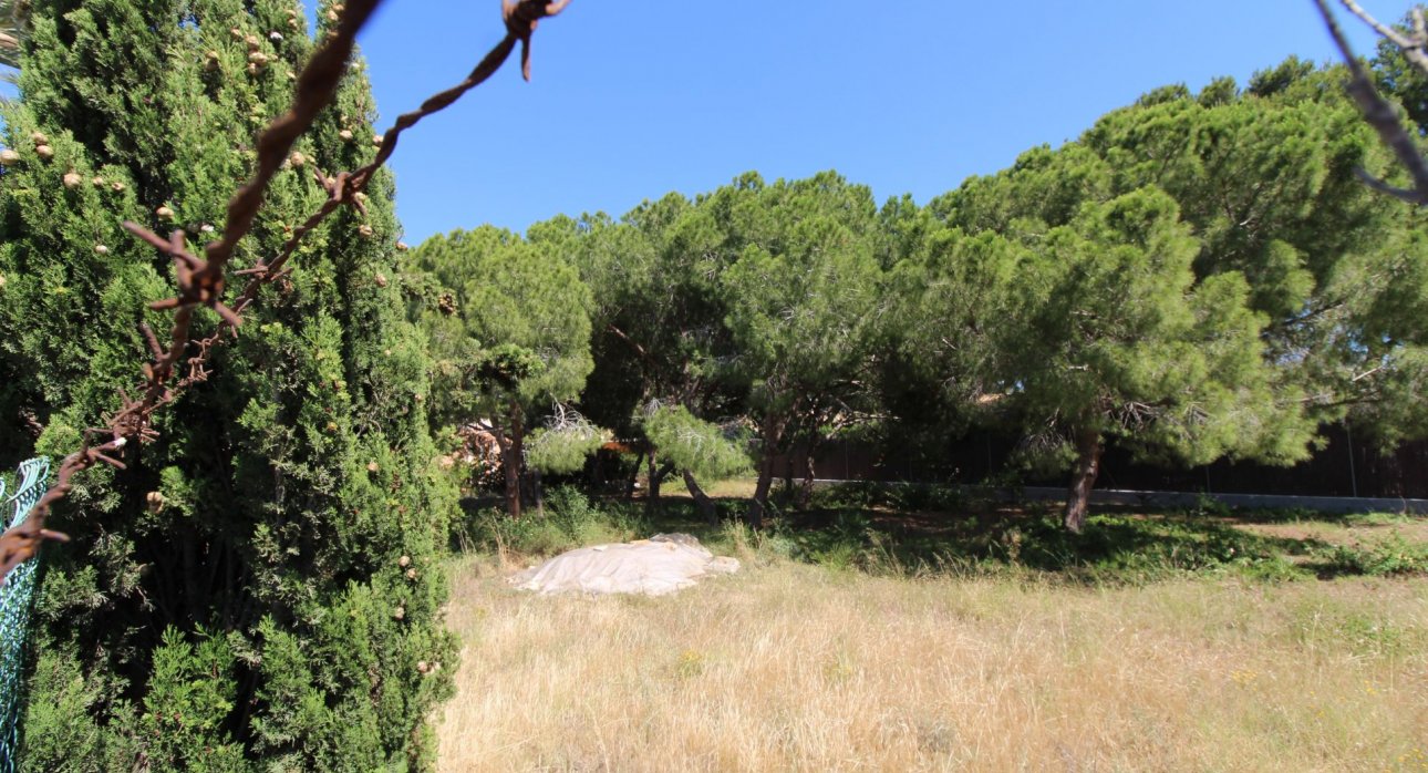 Herverkoop - Stedelijke percelen -
Orihuela Costa - Cabo Roig