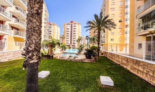 Lägenheter - Återförsäljning - La Manga -
                La Manga