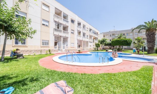 Lägenheter - Långtidsuthyrning - Torrevieja -
                Torrevieja