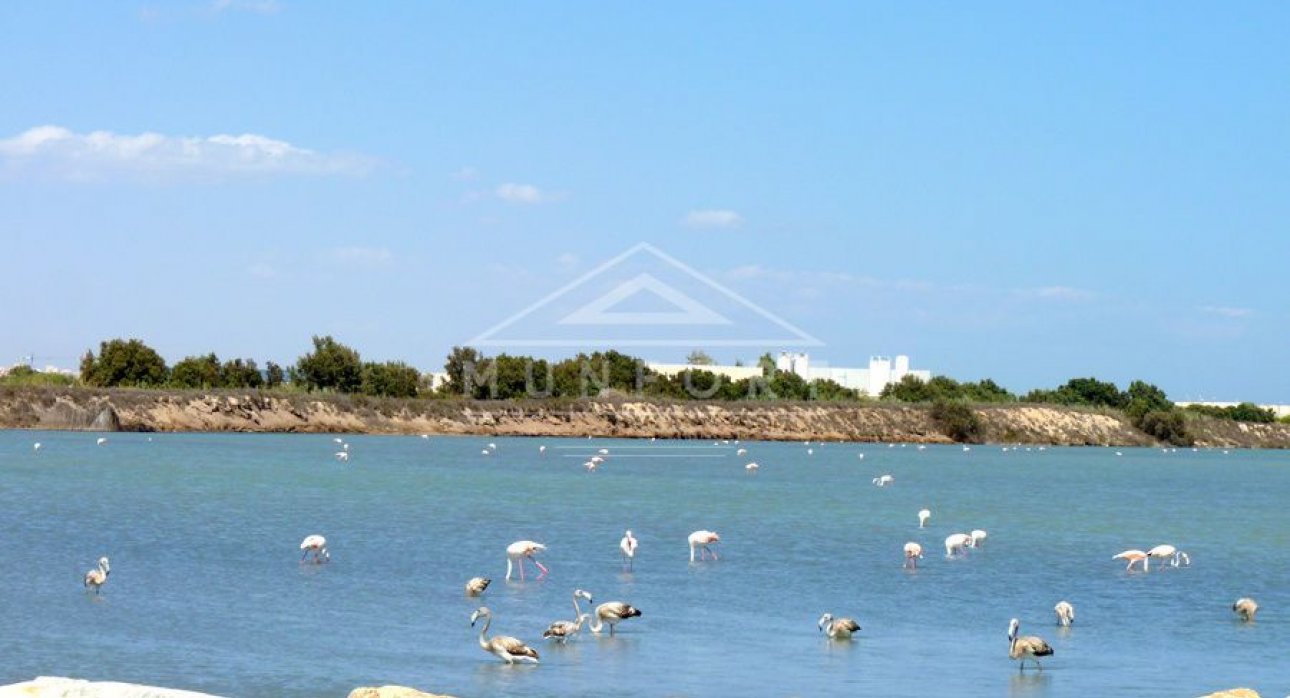 Lange Termijn Verhuur - Bungalows -
San Pedro del Pinatar