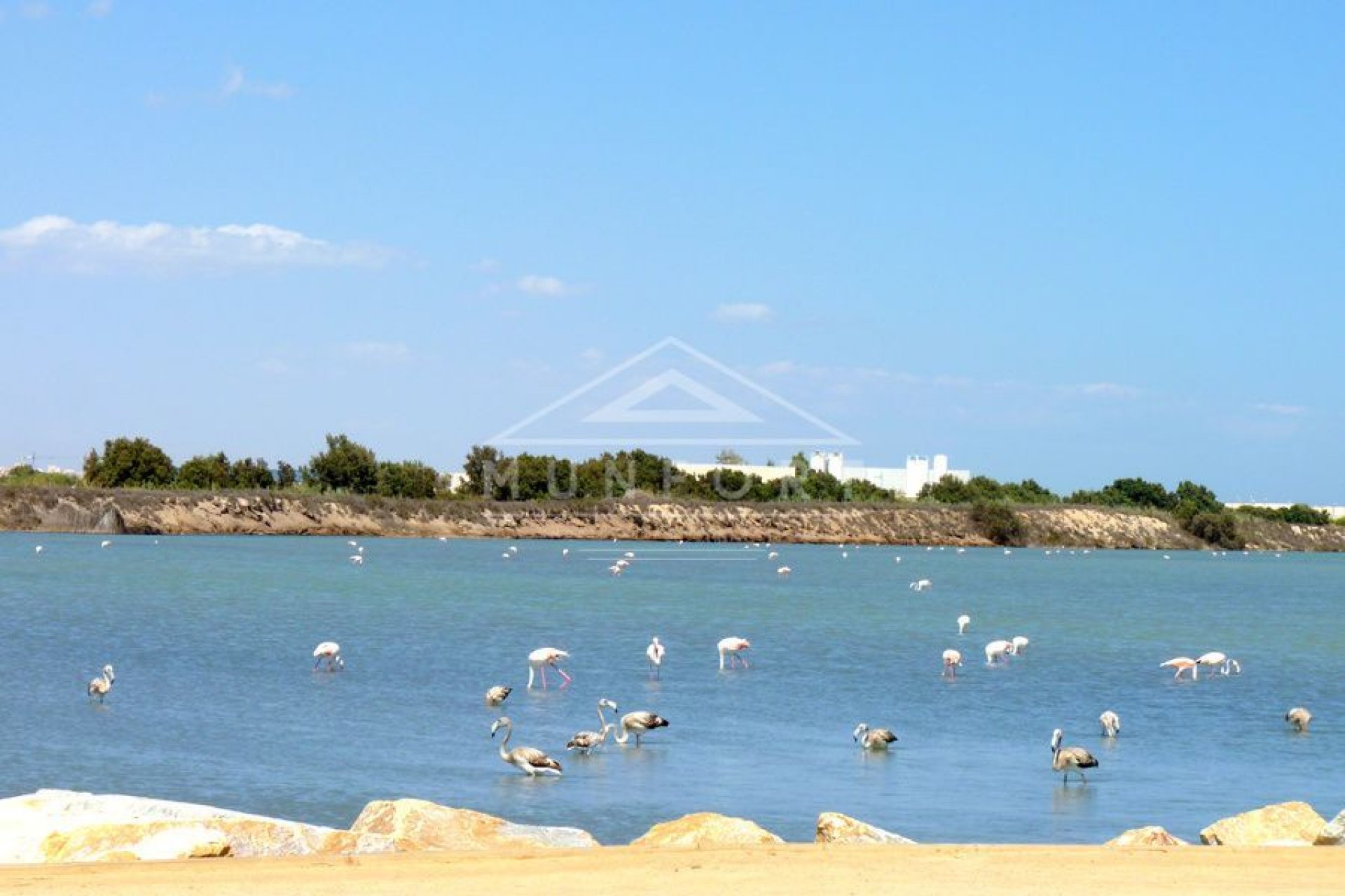 Lange Termijn Verhuur - Bungalows -
San Pedro del Pinatar