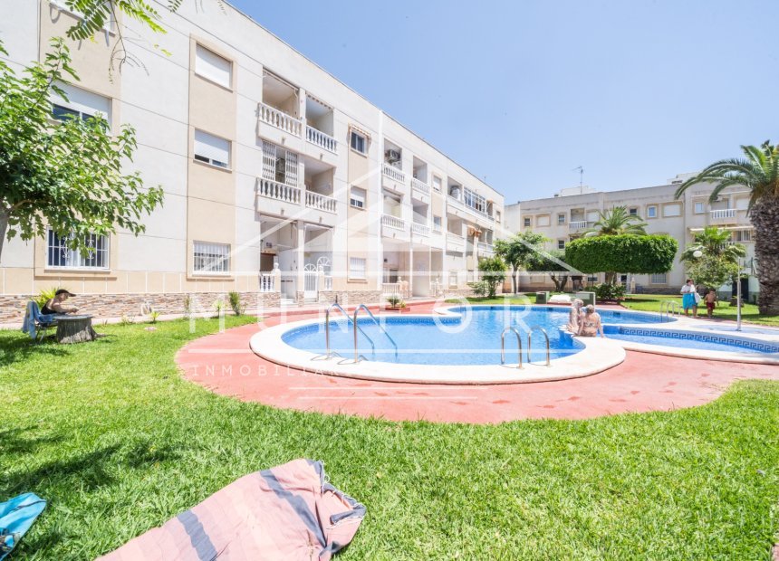 Långtidsuthyrning - Lägenheter -
Torrevieja