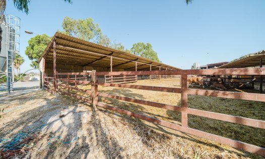 Locaux commerciaux - Revente -
            ALICANTE - K170