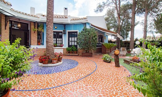 Locaux commerciaux - Revente -
            Orihuela Costa - DH208