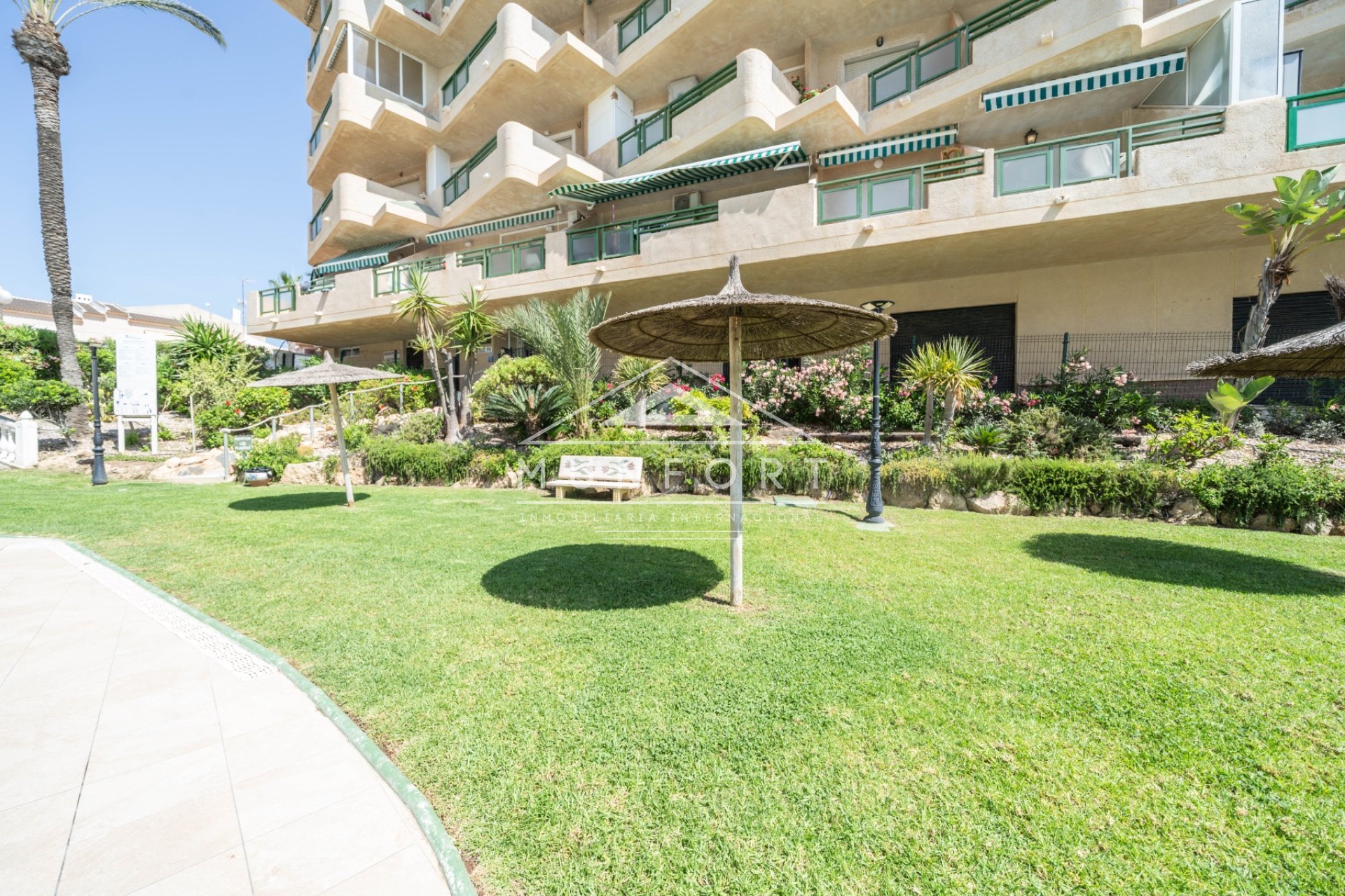 Long Term Rental - Apartments -
Pilar de la Horadada - Mil Palmeras