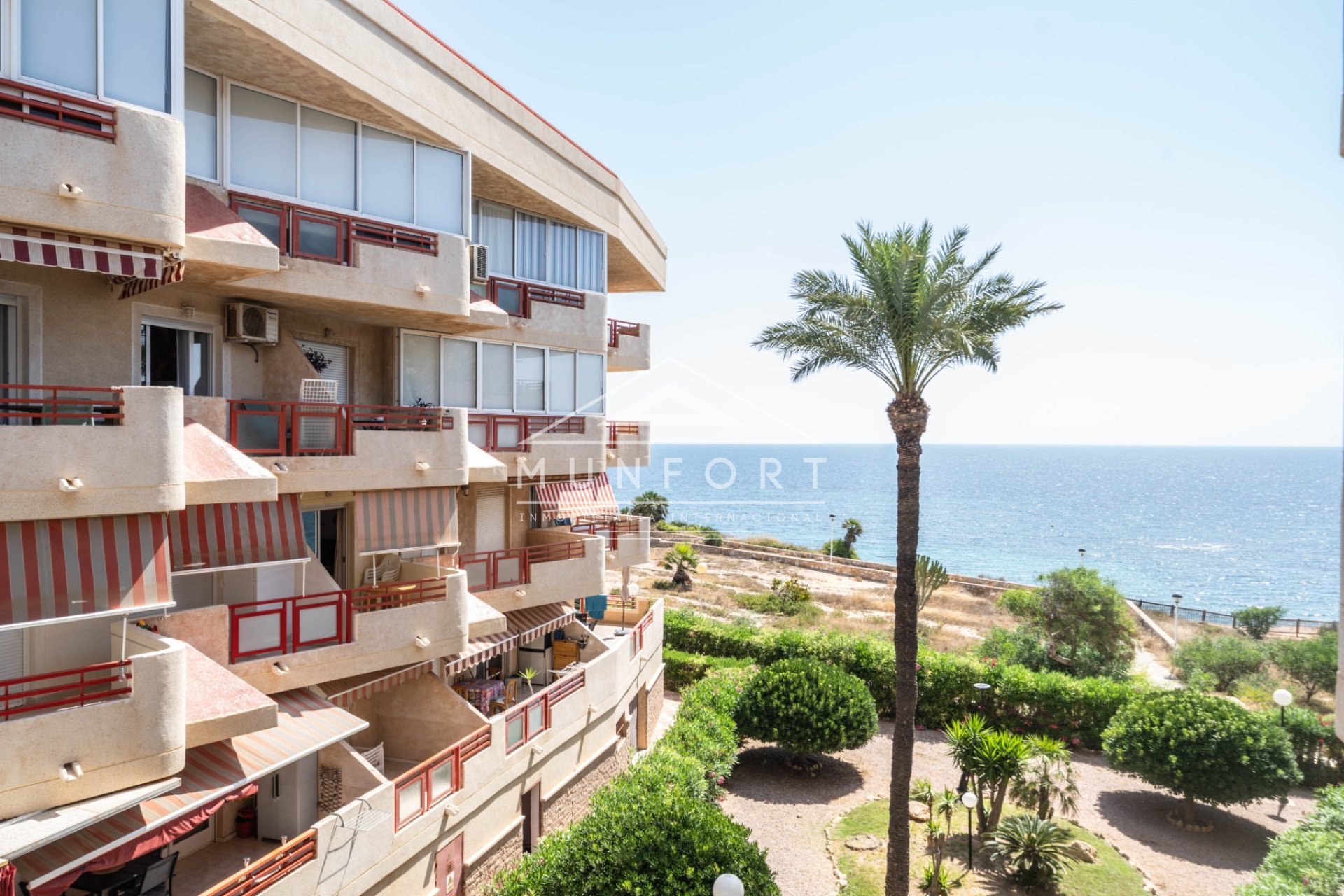 Long Term Rental - Apartments -
Pilar de la Horadada - Mil Palmeras