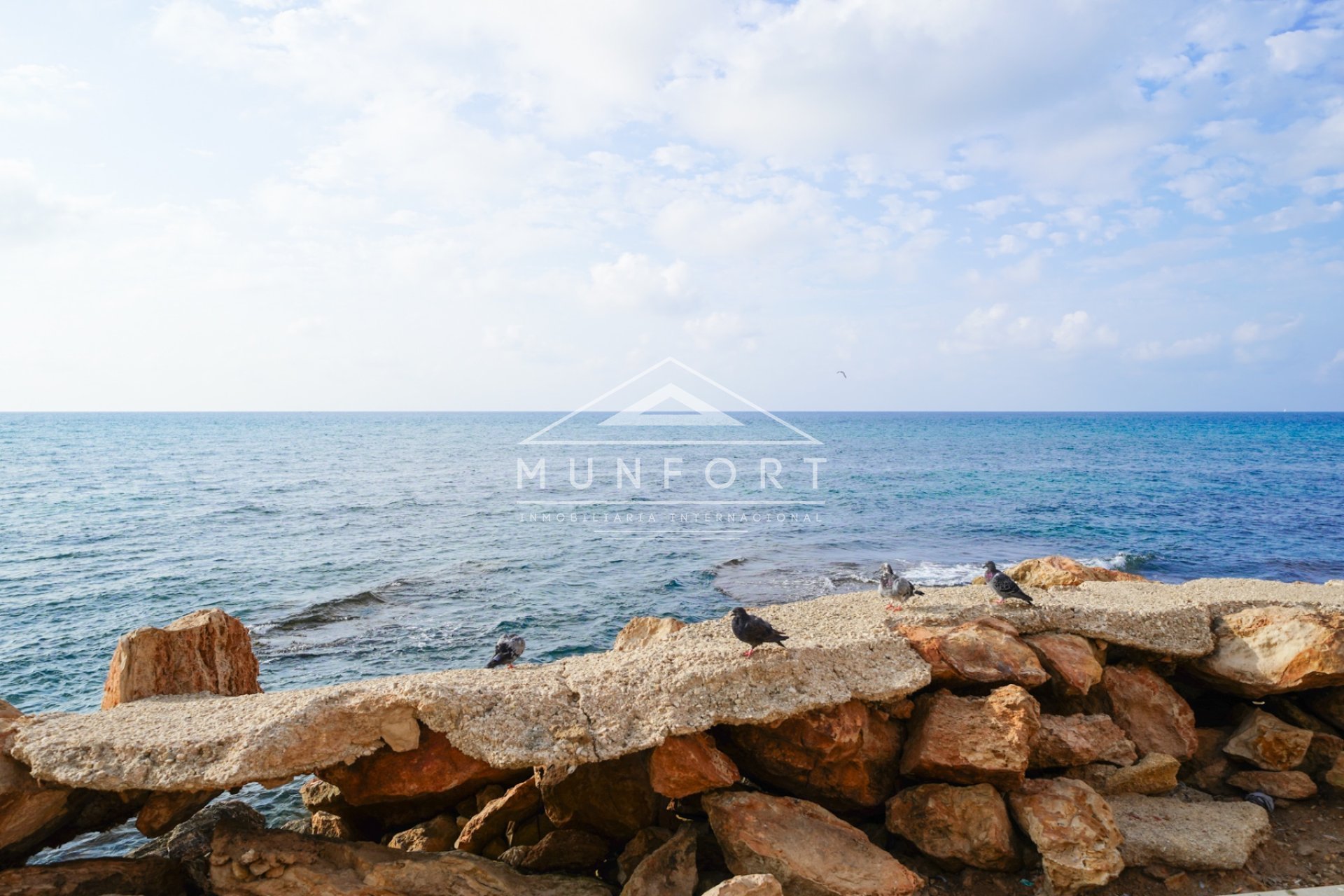 Long Term Rental - Apartments -
Torrevieja - Playa del Cura - Torrevieja