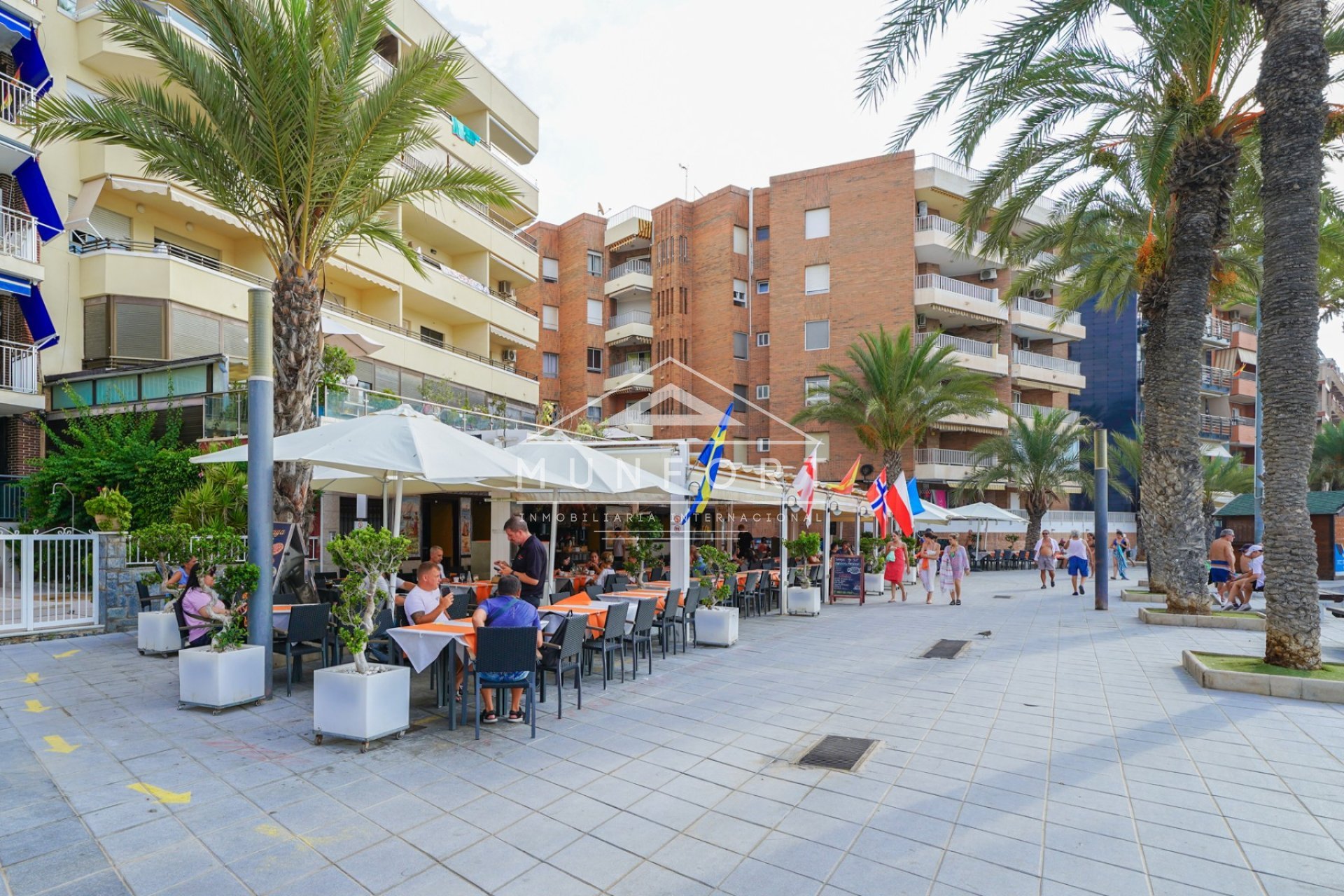 Neue Gebäude - Wohnungen -
Torrevieja
