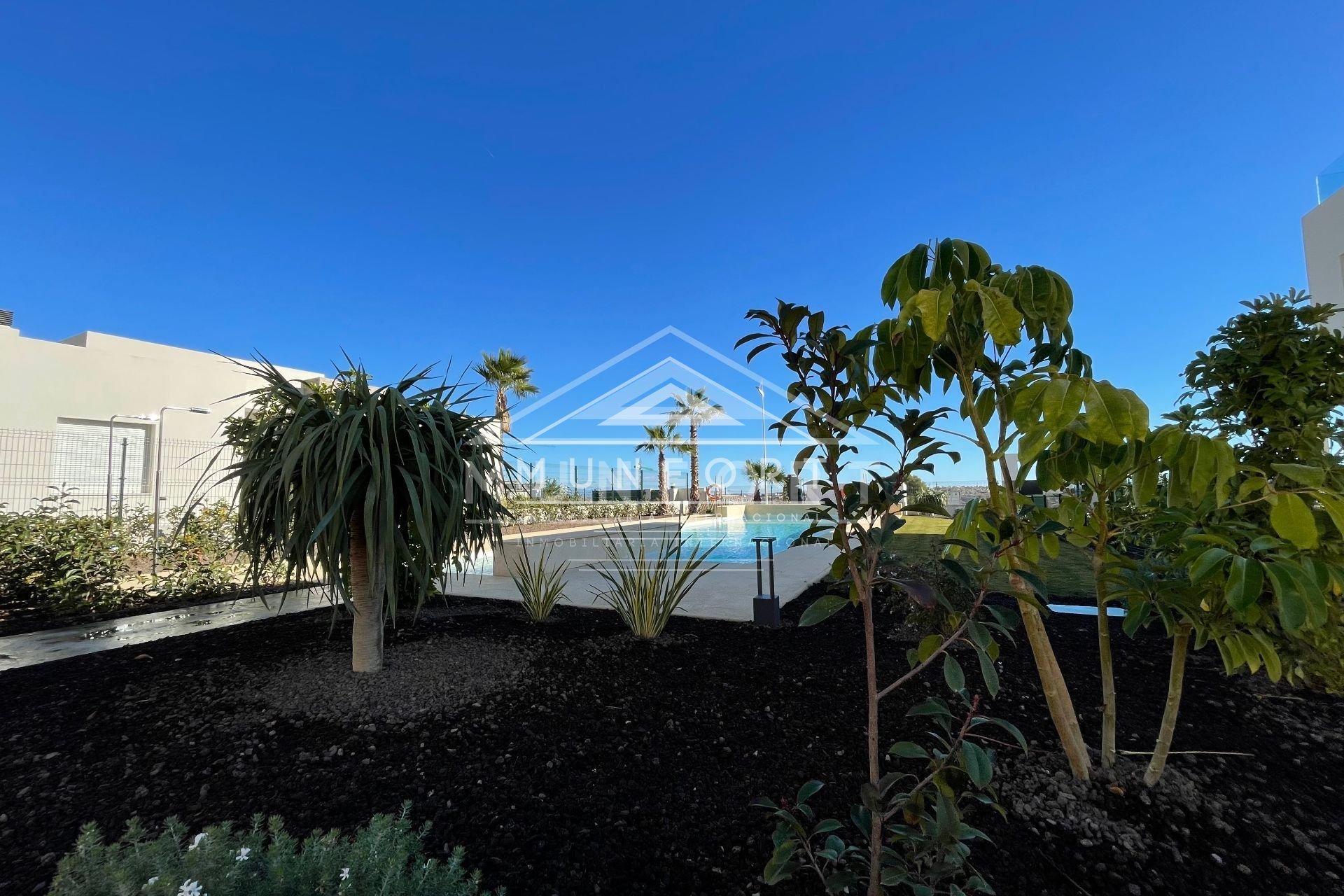 New Build - Bungalows -
Algorfa - Club de Golf La Finca - Algorfa