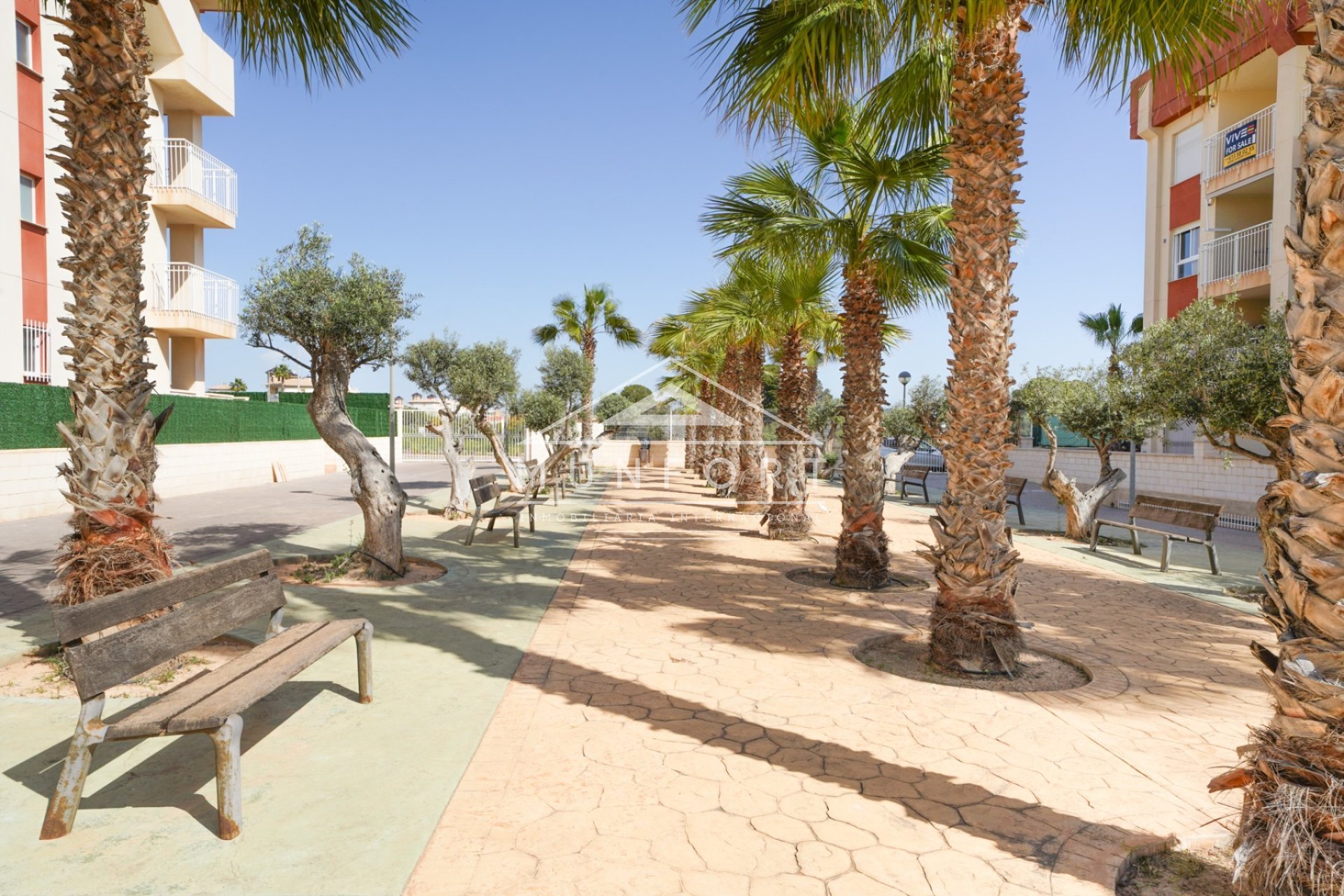 Obra nueva - Áticos -
Orihuela Costa - Lomas de Cabo Roig