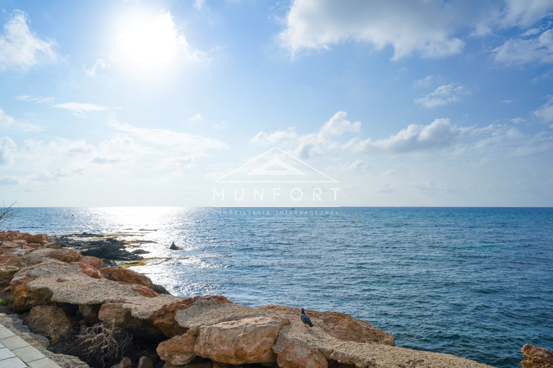 Obra nueva - Áticos -
Torrevieja
